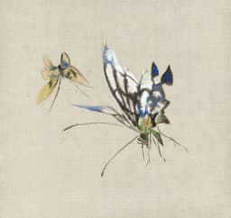 Carnet de voyage — Techniques mixtes